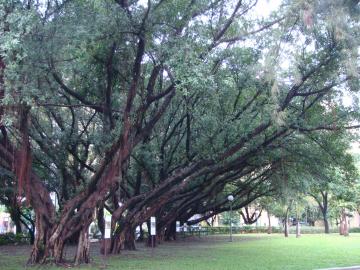 台北青年公園