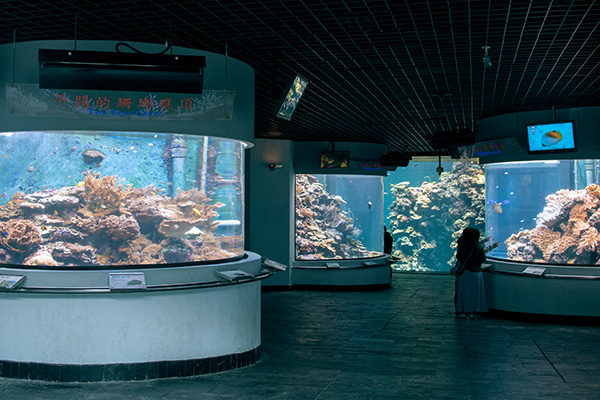 國立海洋生物博物館